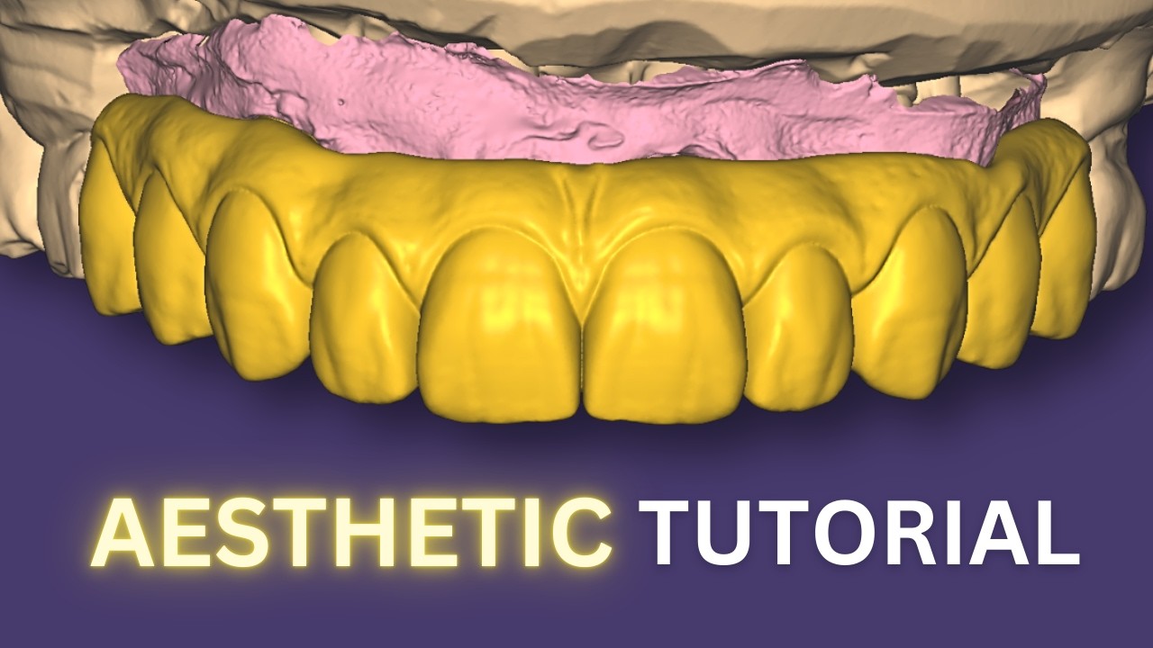 Подробное руководство по проектированию моста Big Bridge 2026 в EXOCAD.