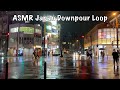 ASMR Japan Downpour Rain Walk Loop 2021.02.02 ASMR Ambient Sound Sleep Meditate Relax Tokyo Suburb