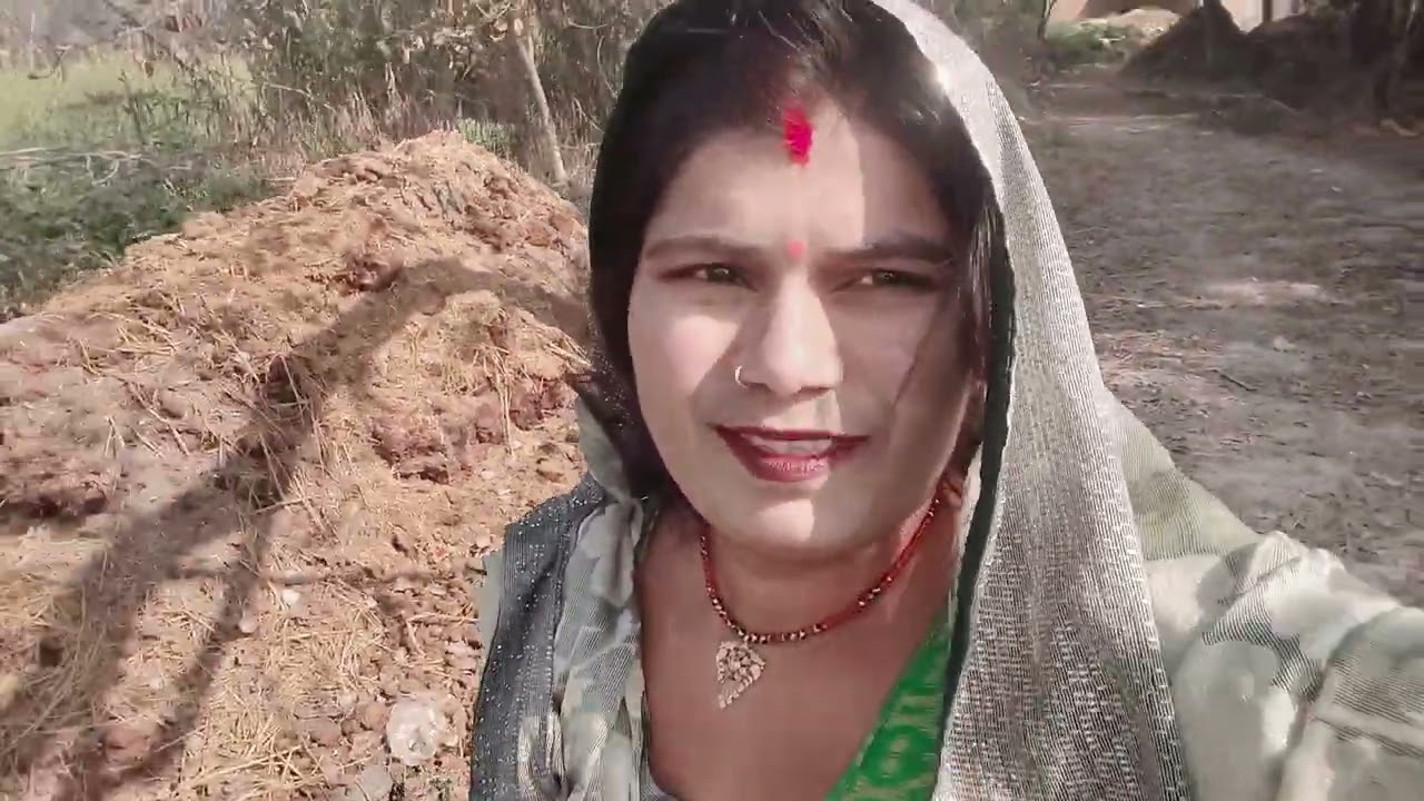  हमारे खेत का फसल कैसा लगा आप लोग कमेंट में जरूर बताइएगा प्लीज वीडियोपुरी देख कर जाना#🙏🙏🙏