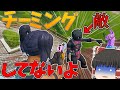 【Fortnite】Q、チーミングしてますか?A、いいえしていません。永遠の初心者が行くフォートナイトパート75【ゆっくり実況】
