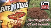 how to DESTROY A FIRE ANT MOUND, quick / easy solution to problem ants - YouTube
