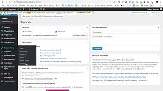 Размещение необходимого JS кода в Header.php Wordpress