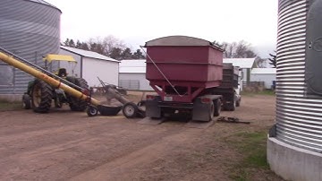 Unloading Soybeans at the bin site.
