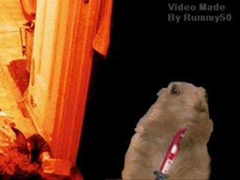 Re: Drama Prairie Dog Attacks!!!! ( Psycho )
