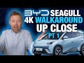 BYD Seagull: Close Up Walkaround in 4k QUALITY CONTROL CHECK (1 of 2)