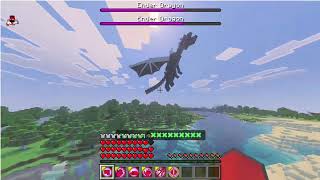defeating two ender dragons with invincible mod
