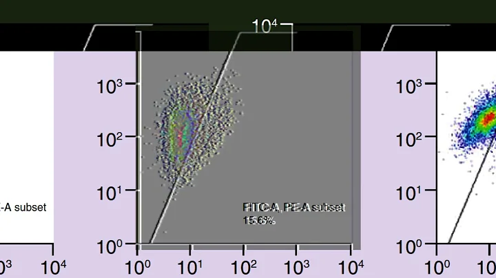 608804AC86E7FCB483D02A6A03BB06#2