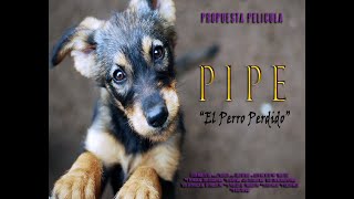 PIPE EL PERRO PERDIDO (Movie Pitch Guion)