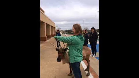 Clarice visits Kinder