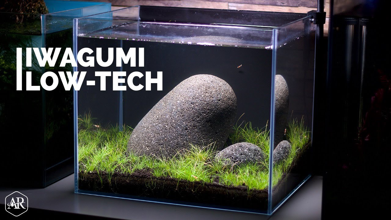 Aquarium Iwagumi simple low-tech