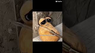 Life without scary baboon would be sad