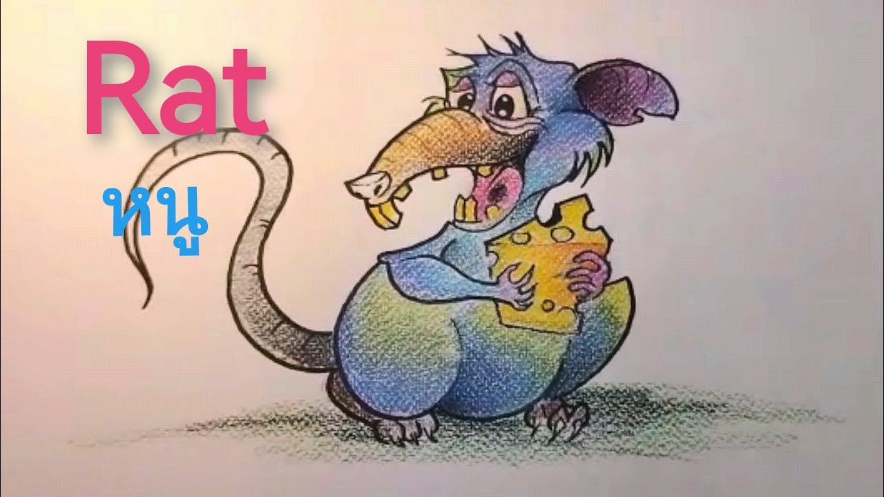 วาดภาพหนู-Rat (เเรท) หนู #art #drawing #ศิลปะ - YouTube