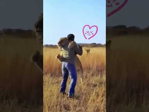Undying Love between animals and humans. #shorts #shortvideo #cute #funny #mustwatch