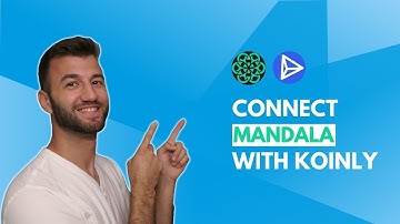 How To Do Your Mandala Crypto Tax FAST With Koinly