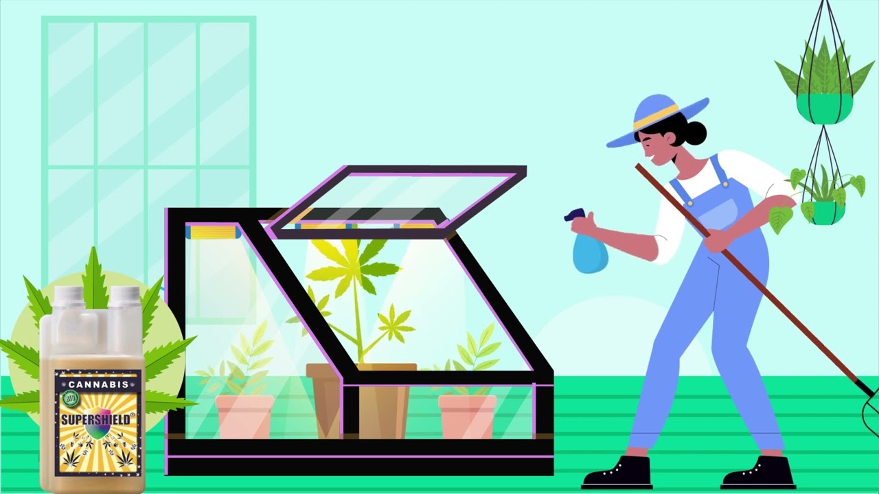 CANNA SAFE by NO® Odor SUPERSHIELD® Cannabis long