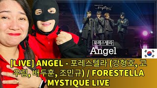 [LIVE] Angel - 포레스텔라 (강형호, 고우림, 배두훈, 조민규) / Forestella Mystique Live - reaction