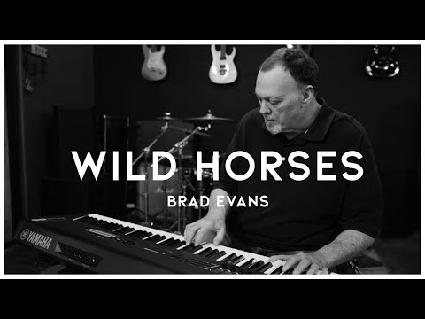Brad Evans - "Wild Horses" The Rolling Stones Cover (Fischtank Sessions)