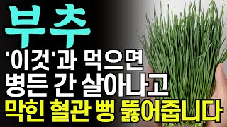 부추는 제발 ‘이렇게’ 드세요! 혈관 건강에 최고인 부추 ‘이것’과 먹으면 온갖 염증 싹 사라집니다! 고혈압 고지혈증 혈액순환 뇌혈관에 최고! 꿀팁 레시피.