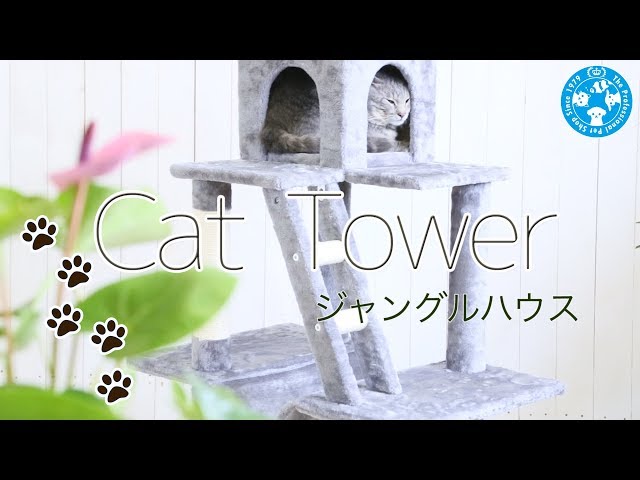 猫ちゃんの休憩ハウス　キャットビルタワー　大型Ｌサイズ　組み立て必要 省スペース 据え置きタイプ スリム 大型猫対応 多頭飼い 極太支柱