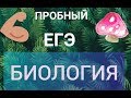 ПРОБНЫЙ ЕГЭ БИОЛОГИЯ №3 | СТАТГРАД