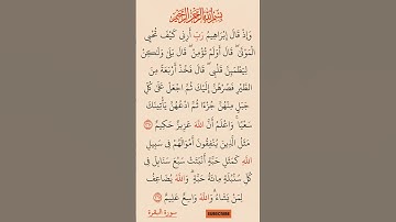 القرآن الكريم سورة البقرة صلاح بو خاطر #القرآن الكريم #راحة نفسية #اطمئن 1