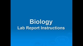 How to Write a Biology Lab Report