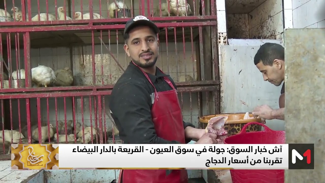 #آش_خبار_السوق..جولة في سوق العيون-القريعة بالدار البيضاء تقربنا من أسعار الدجاج