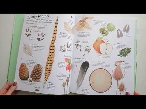 Big Picture Book Outdoors Big Picture Book Outdoors