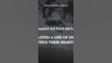 عشقوا الحياة أبية فقلوبهم 