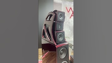 Wilson Audio & a Crazy Constellation amp