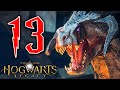 MIKE vs DRAGO! - HOGWARTS LEGACY [Walkthrough Gameplay ITA PS5 - PARTE 13]