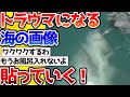 【2ch動物スレ】【閲覧注意】トラウマになるほど海が怖くなる画像をくだい！→やっぱこわすぎる！ #生き物 #2ch