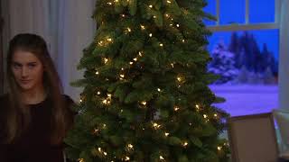 Bethlehem Lights Green or Flocked Slim Downswept Decorator Tree on QVC