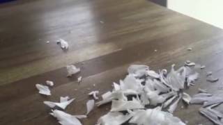 RUB-A-DUB-DUB screenshot 2