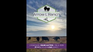 Arrow L Simmentals - Annual Production Sale