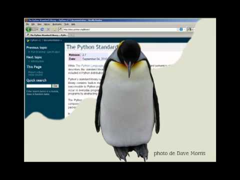 Pythonnerie n°16