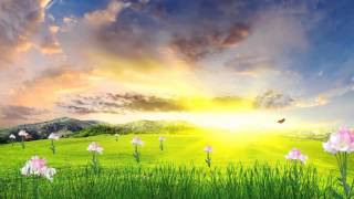 Beautiful view + Sound Happy Spring by desktopanimated.com