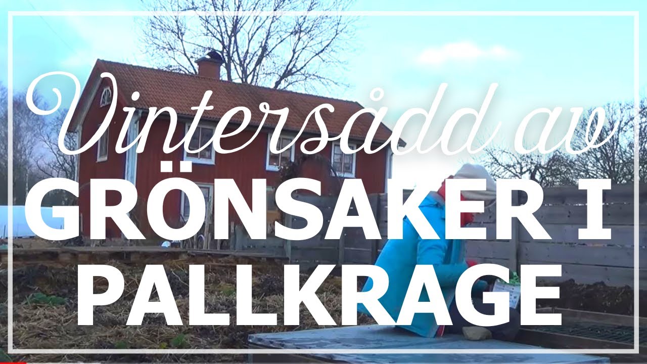 Trädgårdsdesign 20 smarta genvägar för din trädgård 2016 09 13