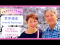 123vlogChannel world heritage Yoshino 1泊2日を3倍楽しむチャンネル 吉野山編