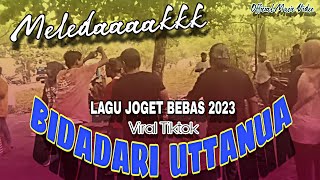 Lagu joget terbaru 2025 BIDADARI UTTANUA - Alman Warat ft Ikino Rahman #music