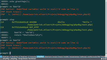 DrupalCon Baltimore 2017: Advanced debugging techniques