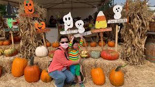 Spina Farms Pumpkin Patch 2020 - part 1