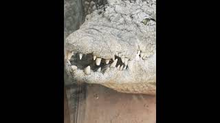 Marokko Im Februar 2023