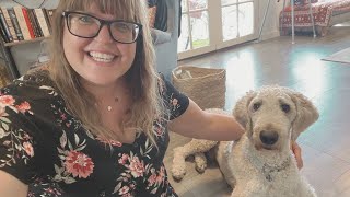 DITL of an Australian Homeschool Family + Dog Friendly CO review