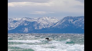 Surfing...in Nevada?