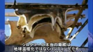 関連動画