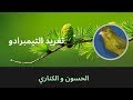 Twitter Canary Twitter Canaries تغريد رائع لكناري التيمبرادو mp3