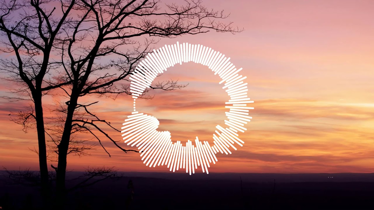 STANDERWICK - Apricus