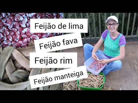 Vídeo: Os feijões-de-lima precisam de uma treliça?