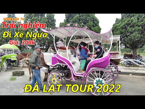 Video Trải Nghiệm đi Xe Ngựa dạo Hồ Xuân Hương Đà Lạt (Giá... - youtube